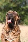 FILA BRASILEIRO 227